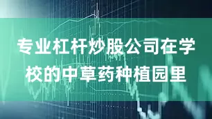 专业杠杆炒股公司在学校的中草药种植园里