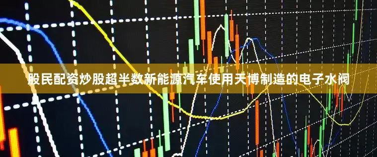 股民配资炒股超半数新能源汽车使用天博制造的电子水阀