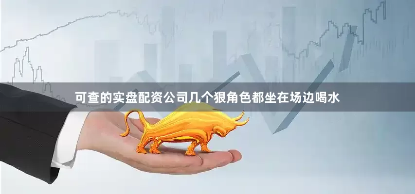 可查的实盘配资公司几个狠角色都坐在场边喝水